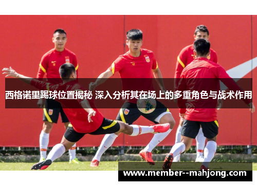 西格诺里踢球位置揭秘 深入分析其在场上的多重角色与战术作用