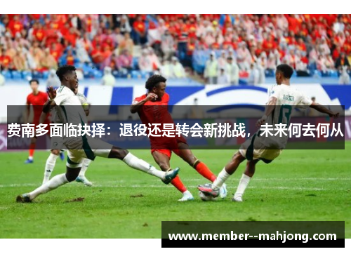 费南多面临抉择：退役还是转会新挑战，未来何去何从