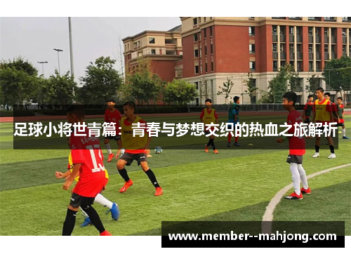 足球小将世青篇：青春与梦想交织的热血之旅解析
