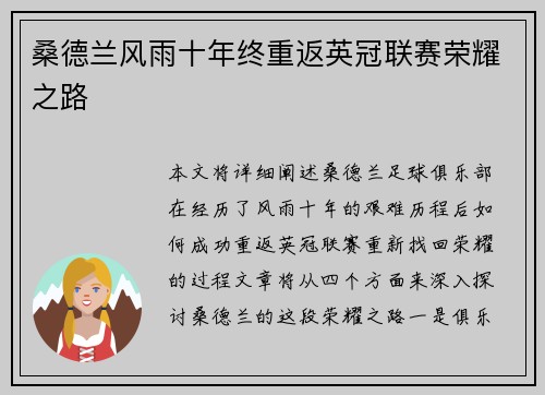 桑德兰风雨十年终重返英冠联赛荣耀之路